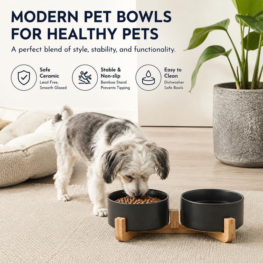 Ceramic Dog Cat Bowls Set with Stand,Black Pet Food and Water Bowl,Small Dog Bowls Cute Modern anti Slip Set of 2 Pet Feeder Small Size Pet Dish(13.5Oz/5.1 In)
