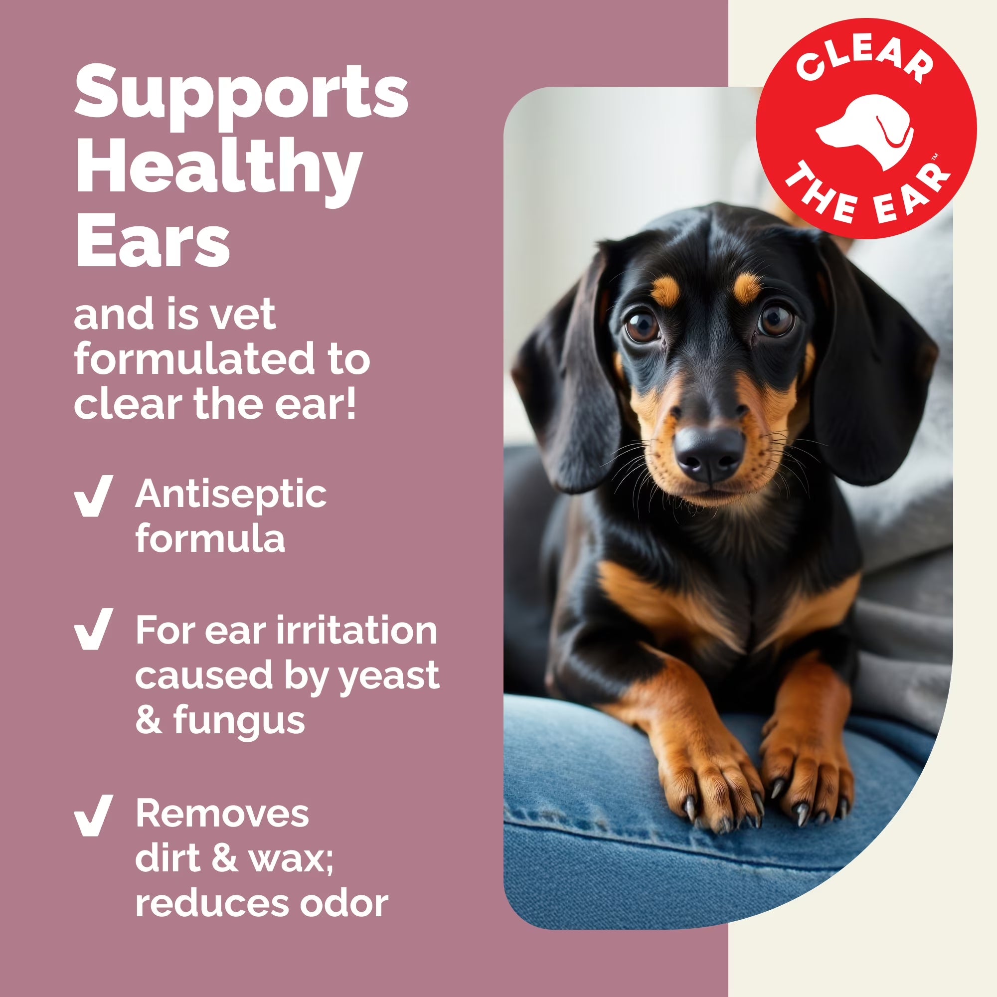 Oticbliss Advanced Vet Strength Medicated Cat and Dog Ear Cleaning Flush with Chlorhexidine, 4 Fl Oz