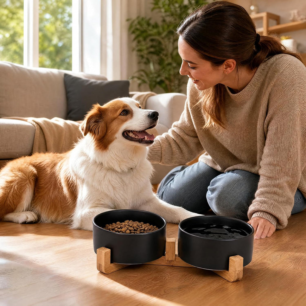 Ceramic Dog Cat Bowls Set with Stand,Black Pet Food and Water Bowl,Small Dog Bowls Cute Modern anti Slip Set of 2 Pet Feeder Small Size Pet Dish(13.5Oz/5.1 In)